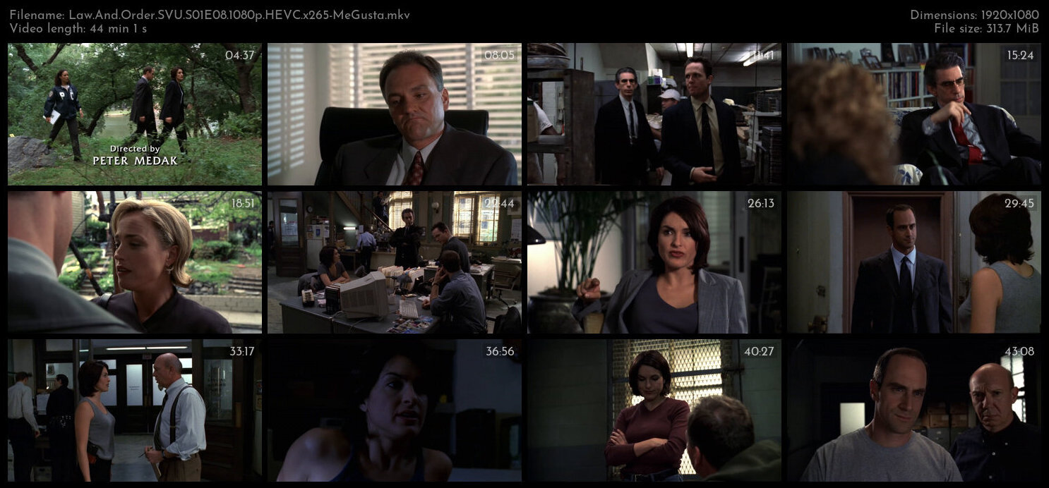 Law And Order SVU S01E08 1080p HEVC x265 MeGusta TGx