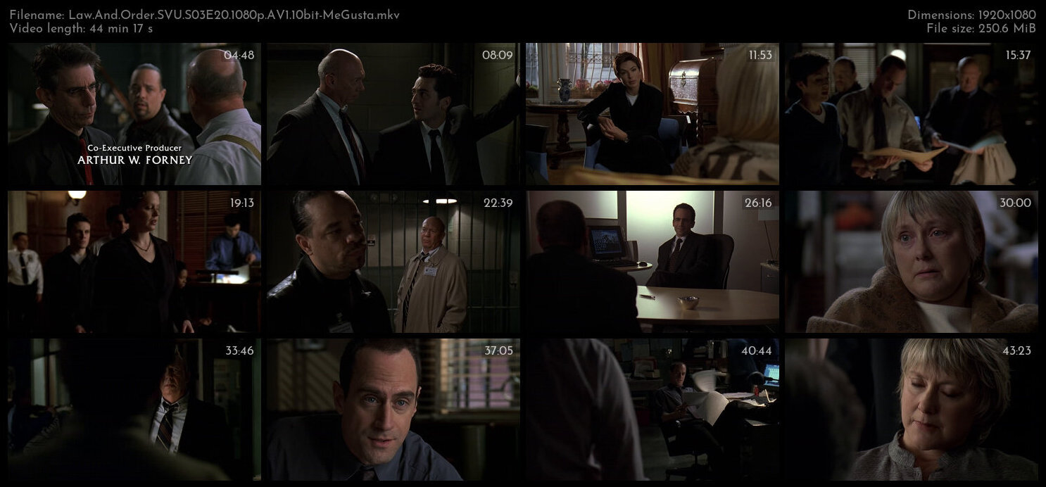 Law And Order SVU S03E20 1080p AV1 10bit MeGusta TGx