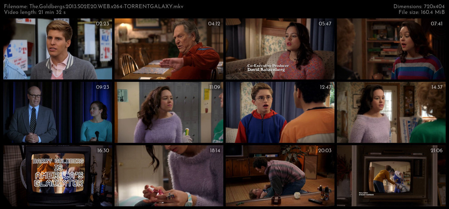 The Goldbergs 2013 S02E20 WEB x264 TORRENTGALAXY