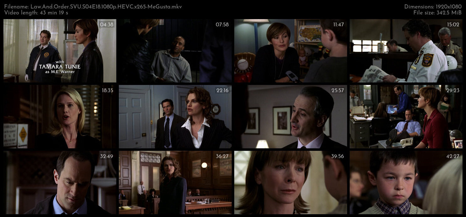 Law And Order SVU S04E18 1080p HEVC x265 MeGusta TGx