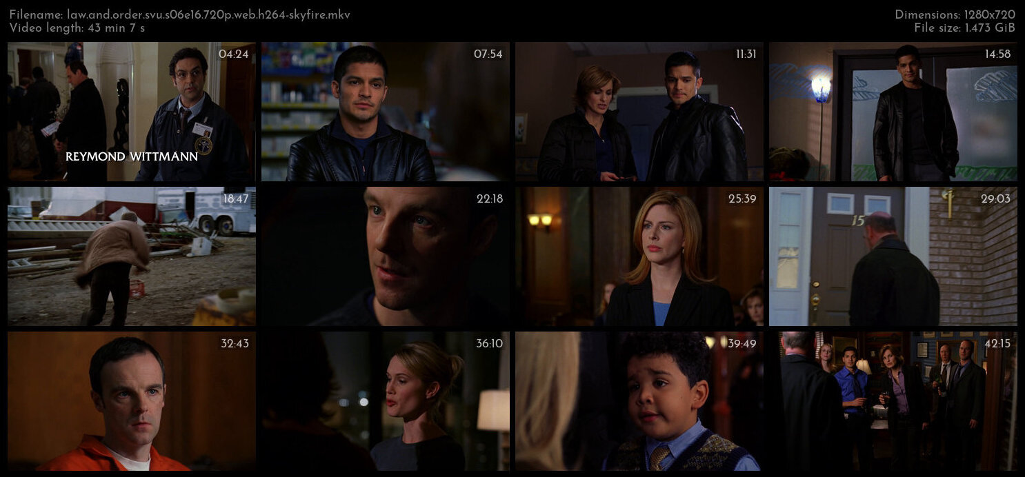 Law And Order SVU S06E16 720p WEB H264 SKYFiRE TGx