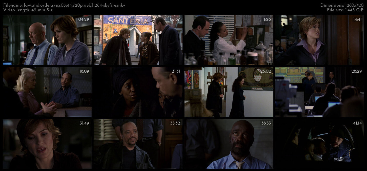 Law And Order SVU S05E14 720p WEB H264 SKYFiRE TGx