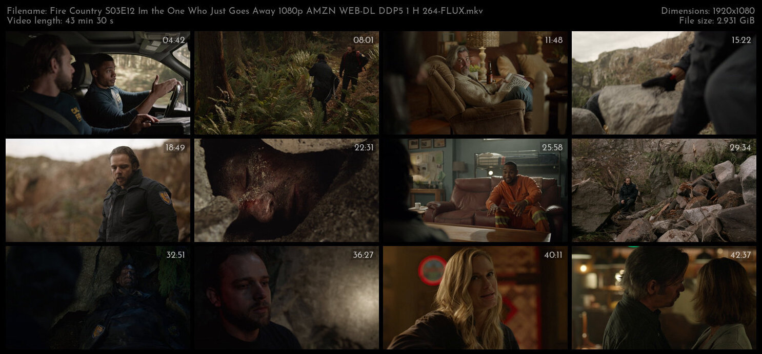 Fire Country S03E12 Im the One Who Just Goes Away 1080p AMZN WEB DL DDP5 1 H 264 FLUX TGx