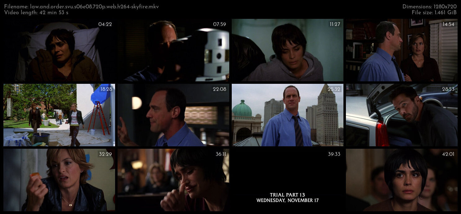 Law And Order SVU S06E08 720p WEB H264 SKYFiRE TGx