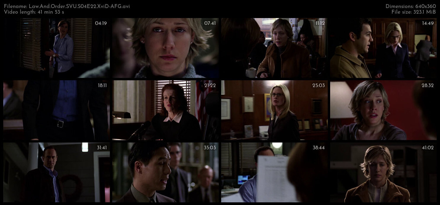 Law And Order SVU S04E22 XviD AFG TGx