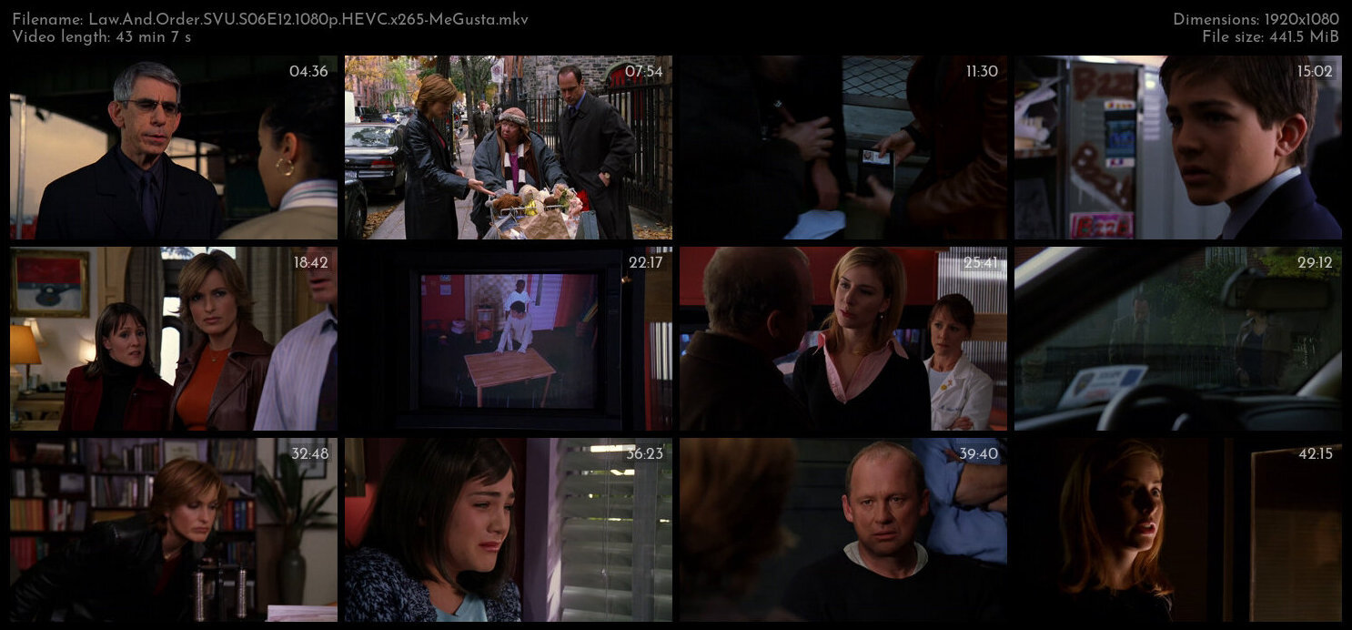 Law And Order SVU S06E12 1080p HEVC x265 MeGusta TGx