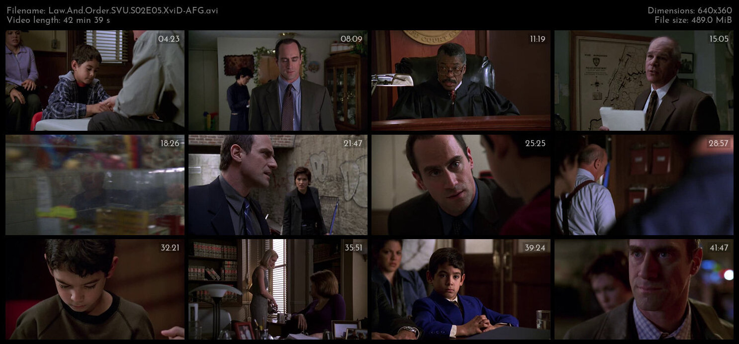 Law And Order SVU S02E05 XviD AFG TGx