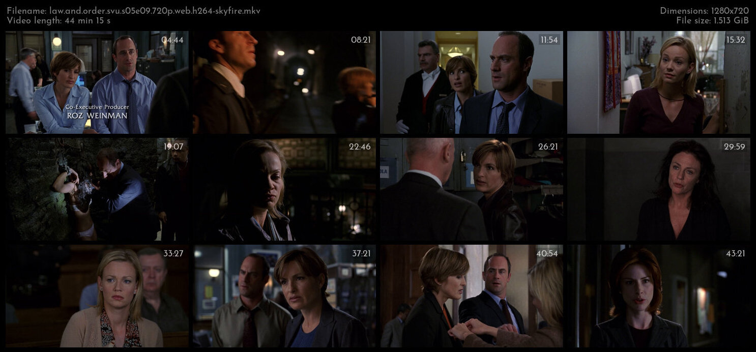 Law And Order SVU S05E09 720p WEB H264 SKYFiRE TGx