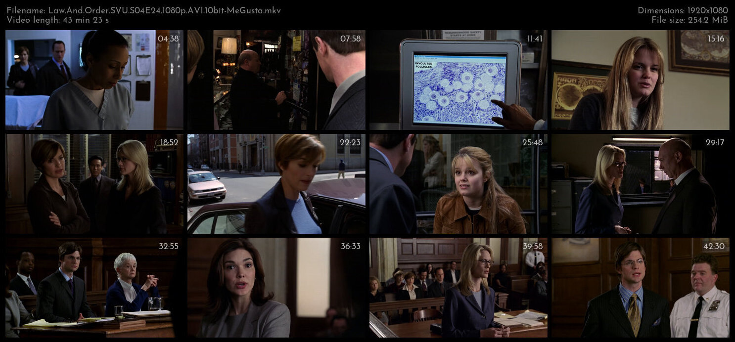 Law And Order SVU S04E24 1080p AV1 10bit MeGusta TGx