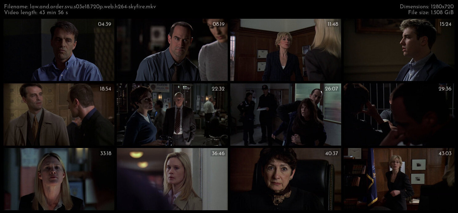 Law And Order SVU S03E18 720p WEB H264 SKYFiRE TGx