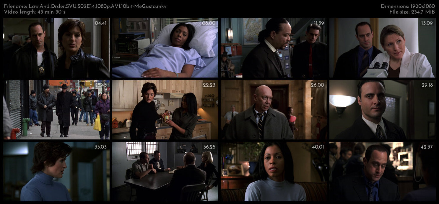 Law And Order SVU S02E14 1080p AV1 10bit MeGusta TGx