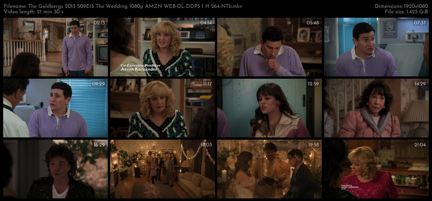 The Goldbergs 2013 S09E15 The Wedding 1080p AMZN WEB DL DDP5 1 H 264 NTb TGx