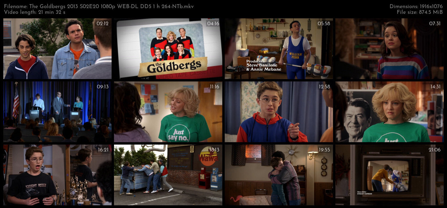 The Goldbergs 2013 S02E20 1080p WEB DL DD5 1 h 264 NTb TGx