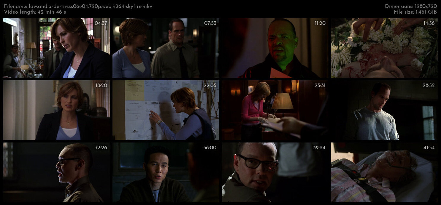 Law And Order SVU S06E04 720p WEB H264 SKYFiRE TGx