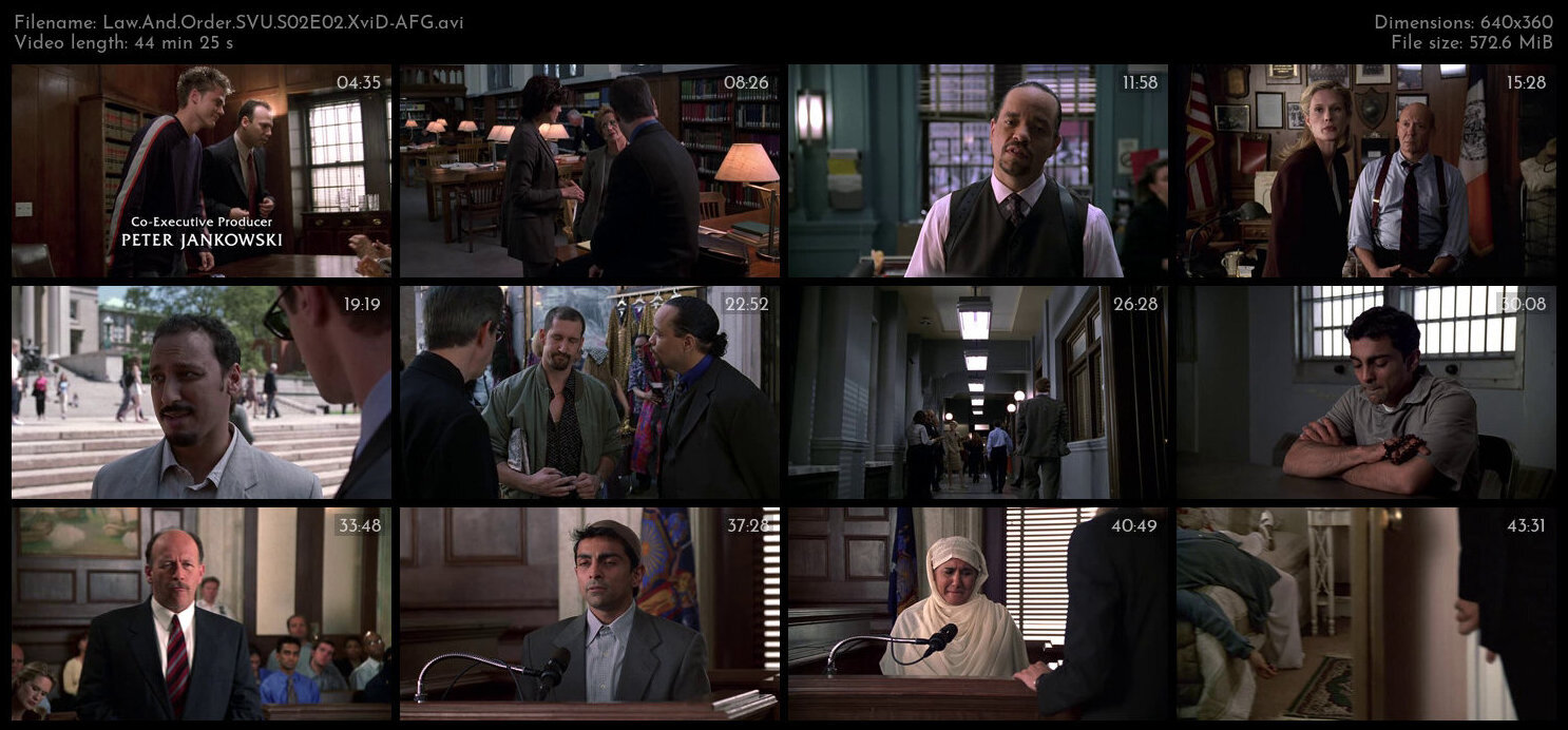 Law And Order SVU S02E02 XviD AFG TGx