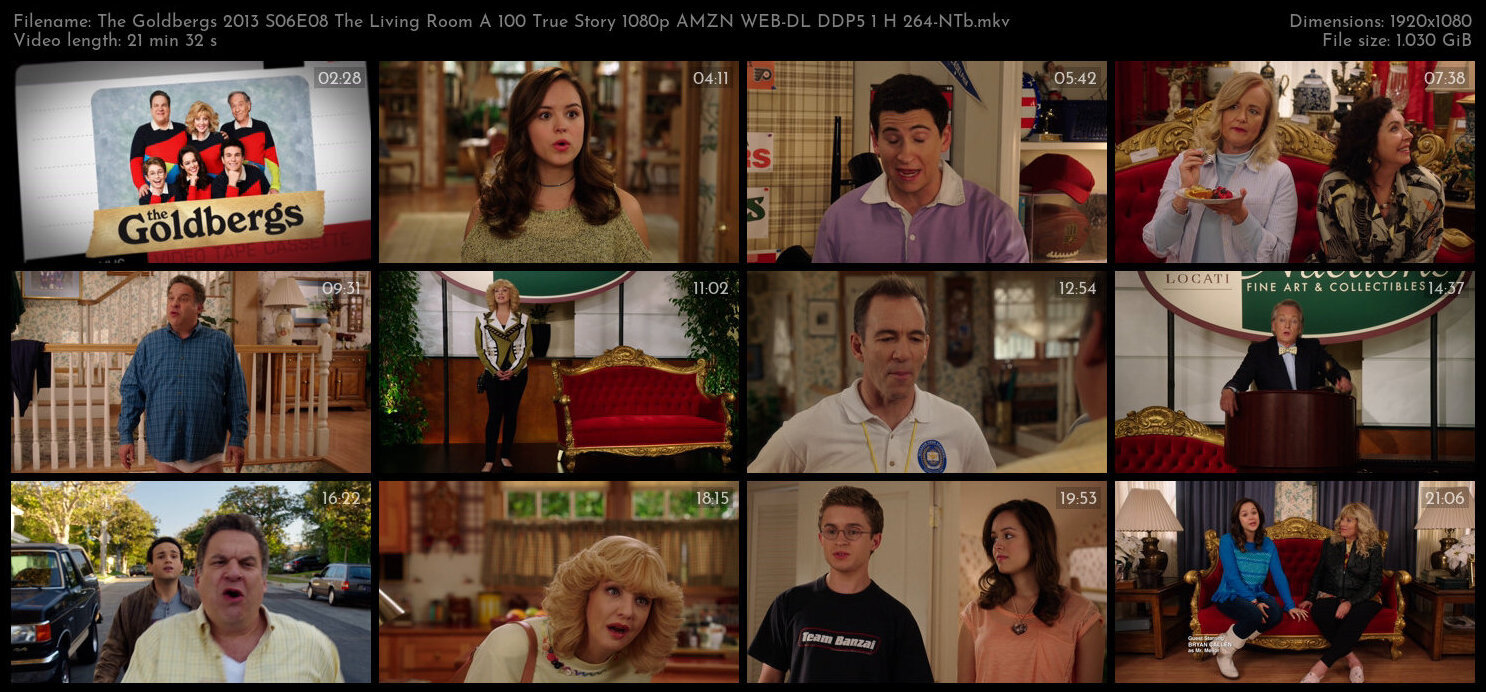 The Goldbergs 2013 S06E08 The Living Room A 100 True Story 1080p AMZN WEB DL DDP5 1 H 264 NTb TGx