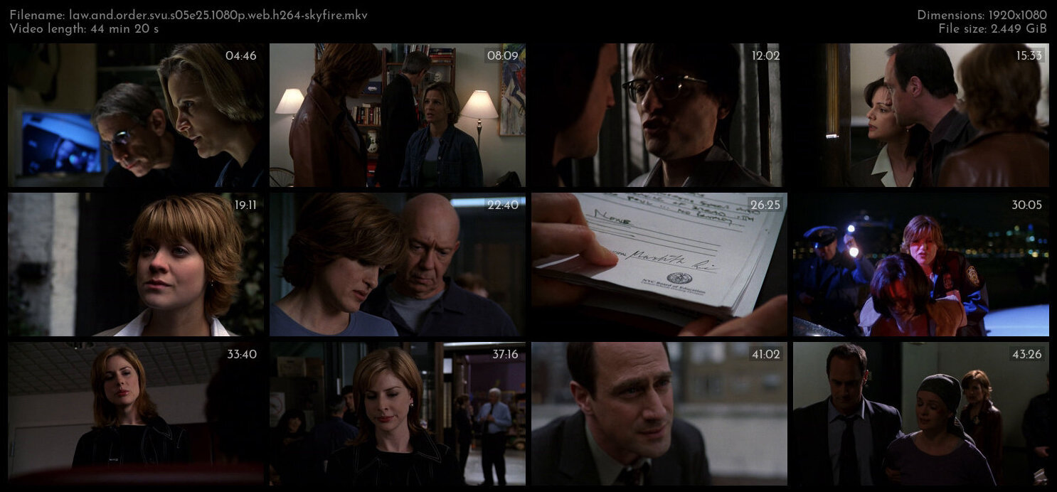 Law And Order SVU S05E25 1080p WEB H264 SKYFiRE TGx