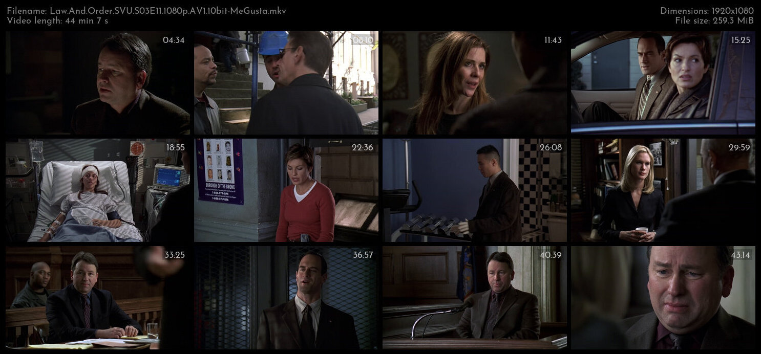 Law And Order SVU S03E11 1080p AV1 10bit MeGusta TGx