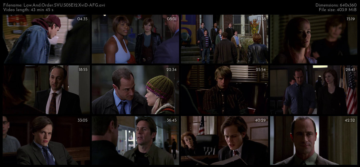 Law And Order SVU S05E12 XviD AFG TGx