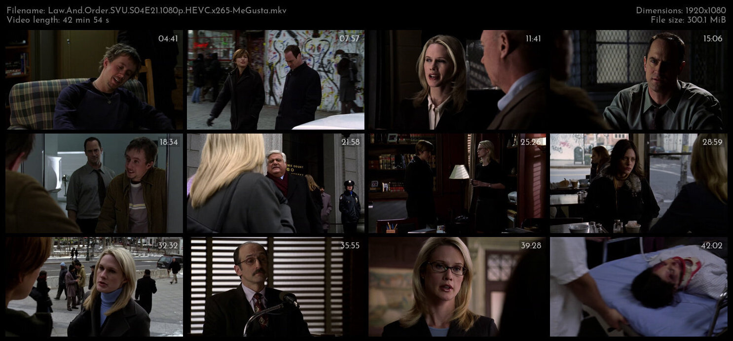 Law And Order SVU S04E21 1080p HEVC x265 MeGusta TGx