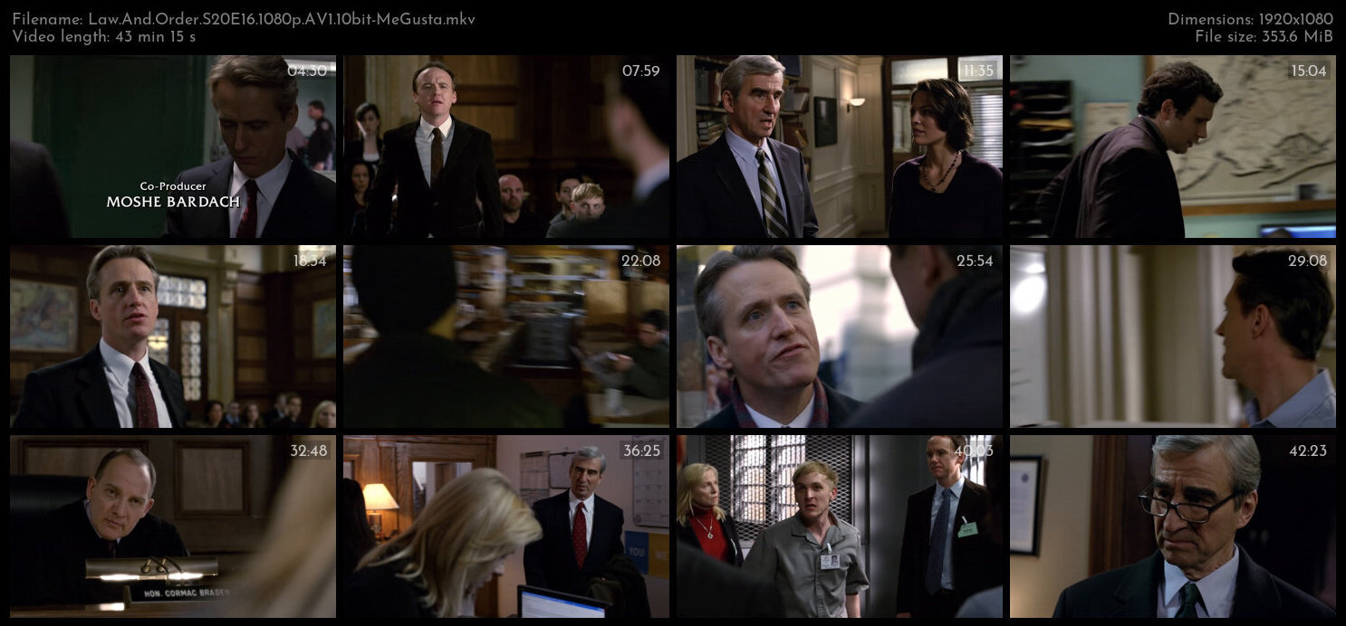 Law And Order S20E16 1080p AV1 10bit MeGusta TGx