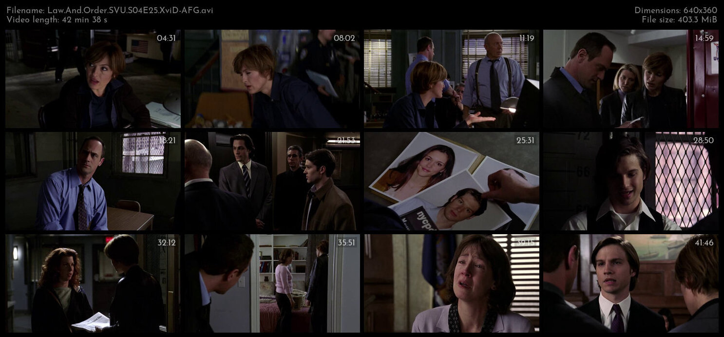 Law And Order SVU S04E25 XviD AFG TGx