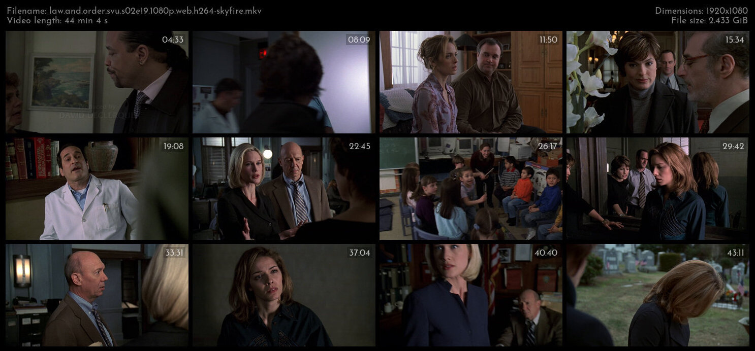 Law And Order SVU S02E19 1080p WEB H264 SKYFiRE TGx