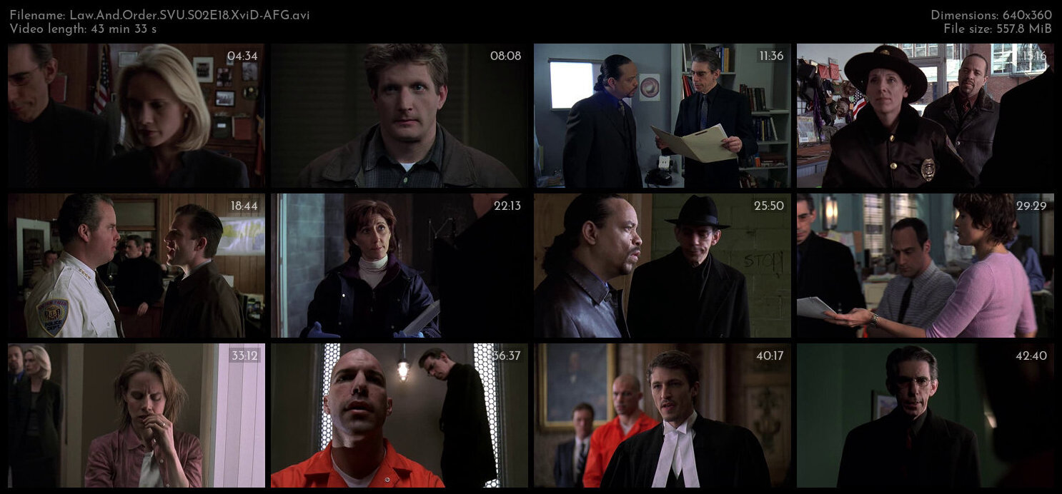 Law And Order SVU S02E18 XviD AFG TGx