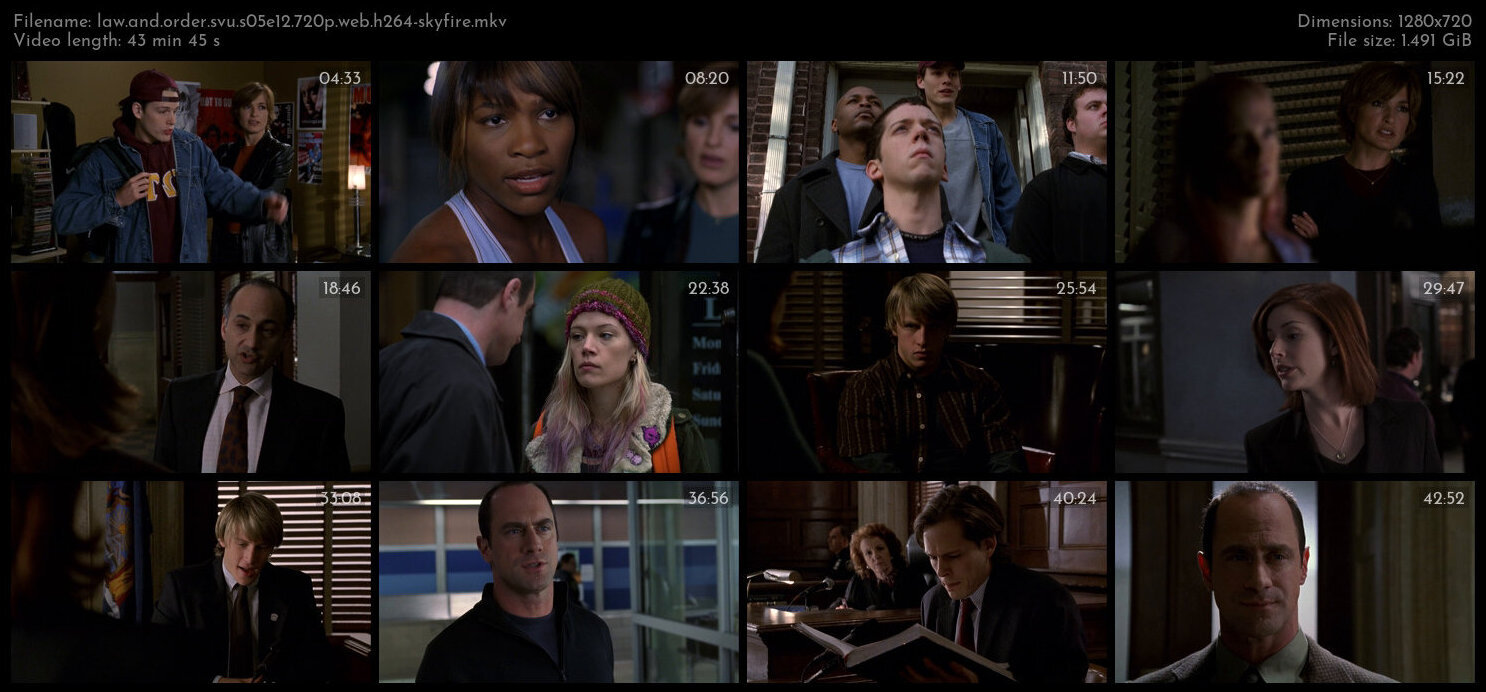 Law And Order SVU S05E12 720p WEB H264 SKYFiRE TGx