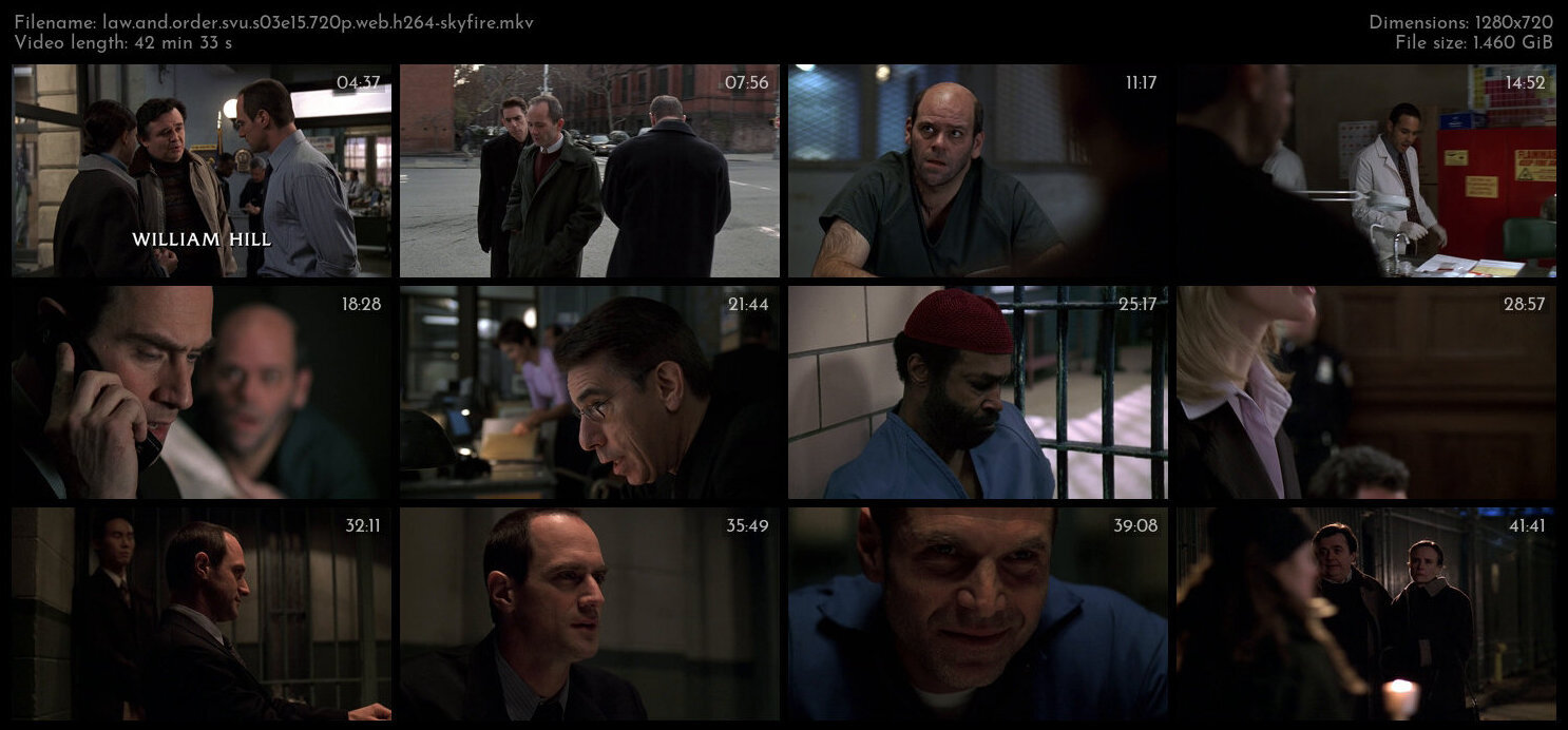 Law And Order SVU S03E15 720p WEB H264 SKYFiRE TGx