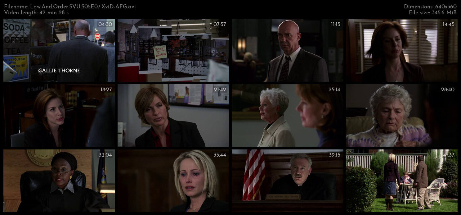 Law And Order SVU S05E07 XviD AFG TGx