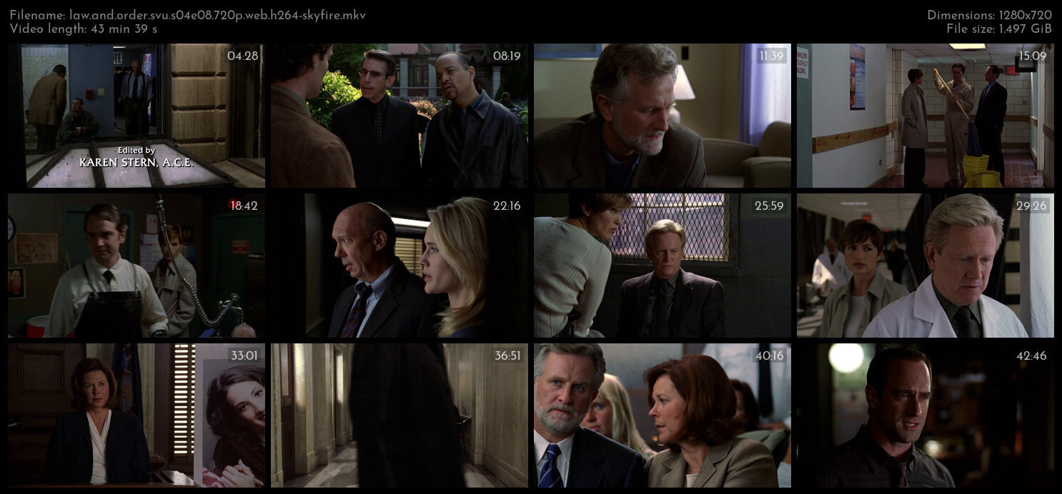 Law And Order SVU S04E08 720p WEB H264 SKYFiRE TGx