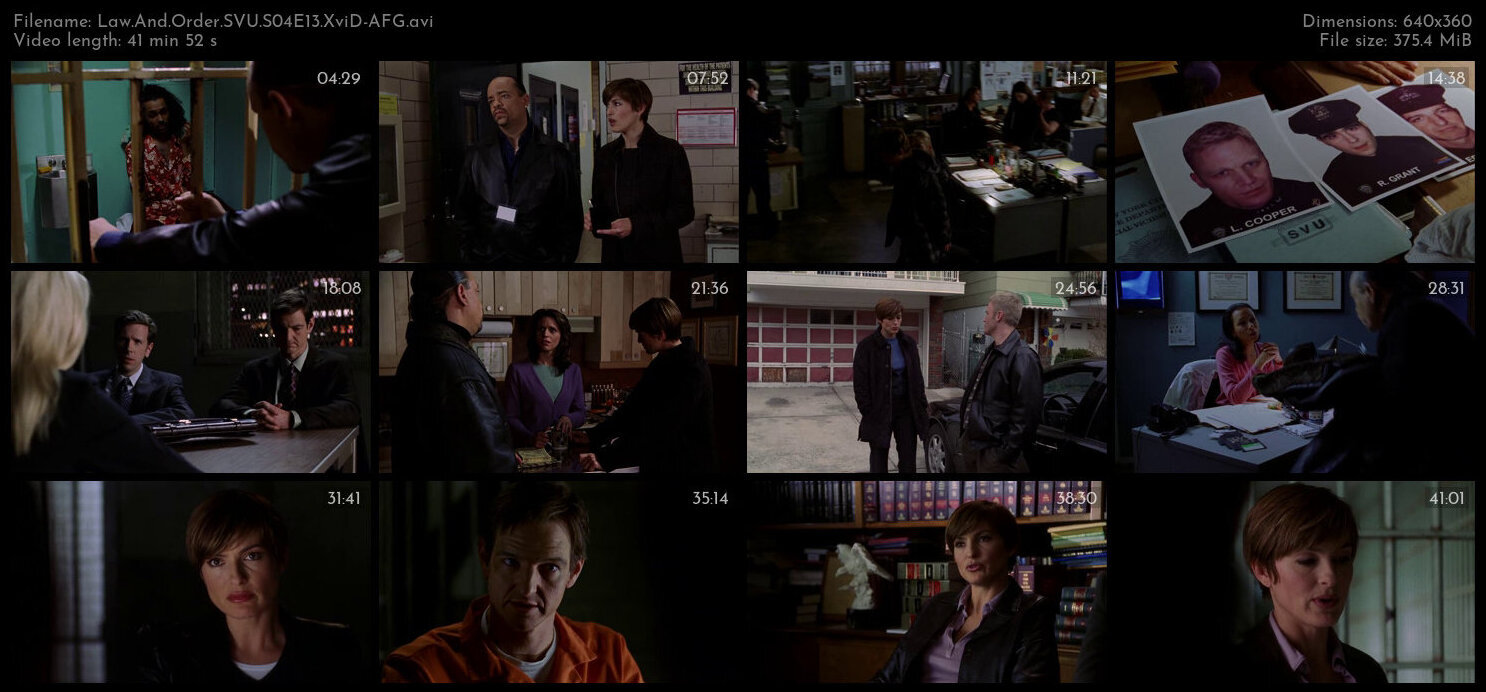 Law And Order SVU S04E13 XviD AFG TGx