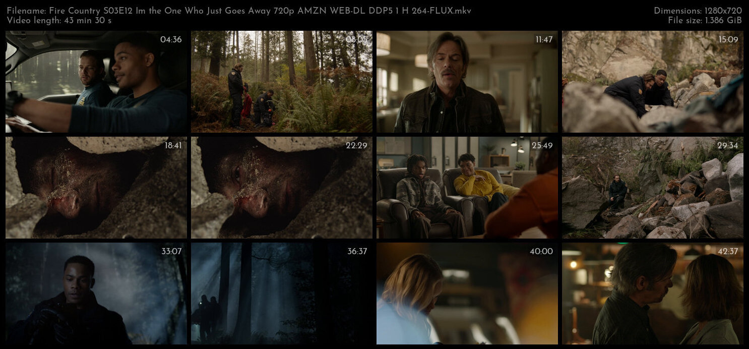 Fire Country S03E12 Im the One Who Just Goes Away 720p AMZN WEB DL DDP5 1 H 264 FLUX TGx