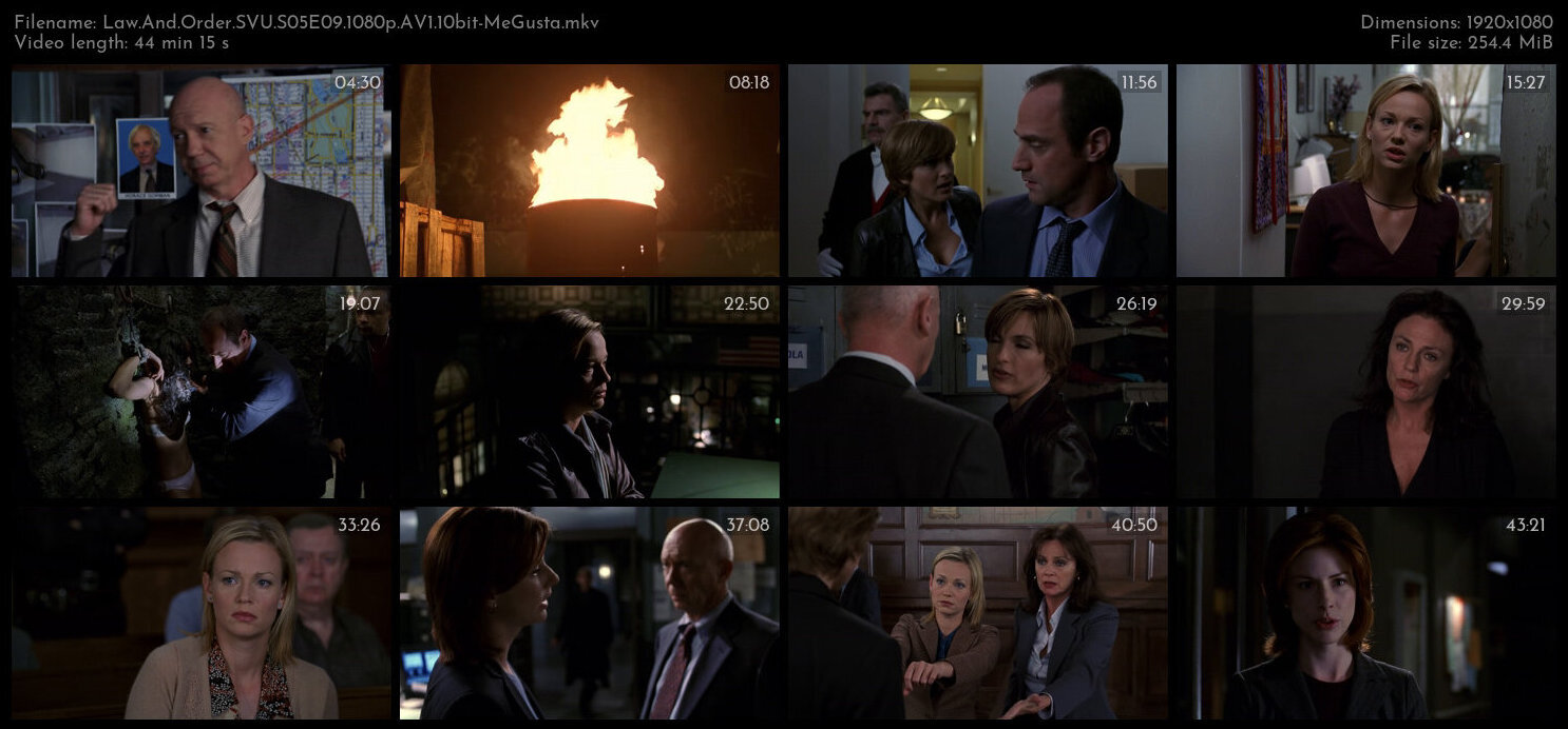 Law And Order SVU S05E09 1080p AV1 10bit MeGusta TGx