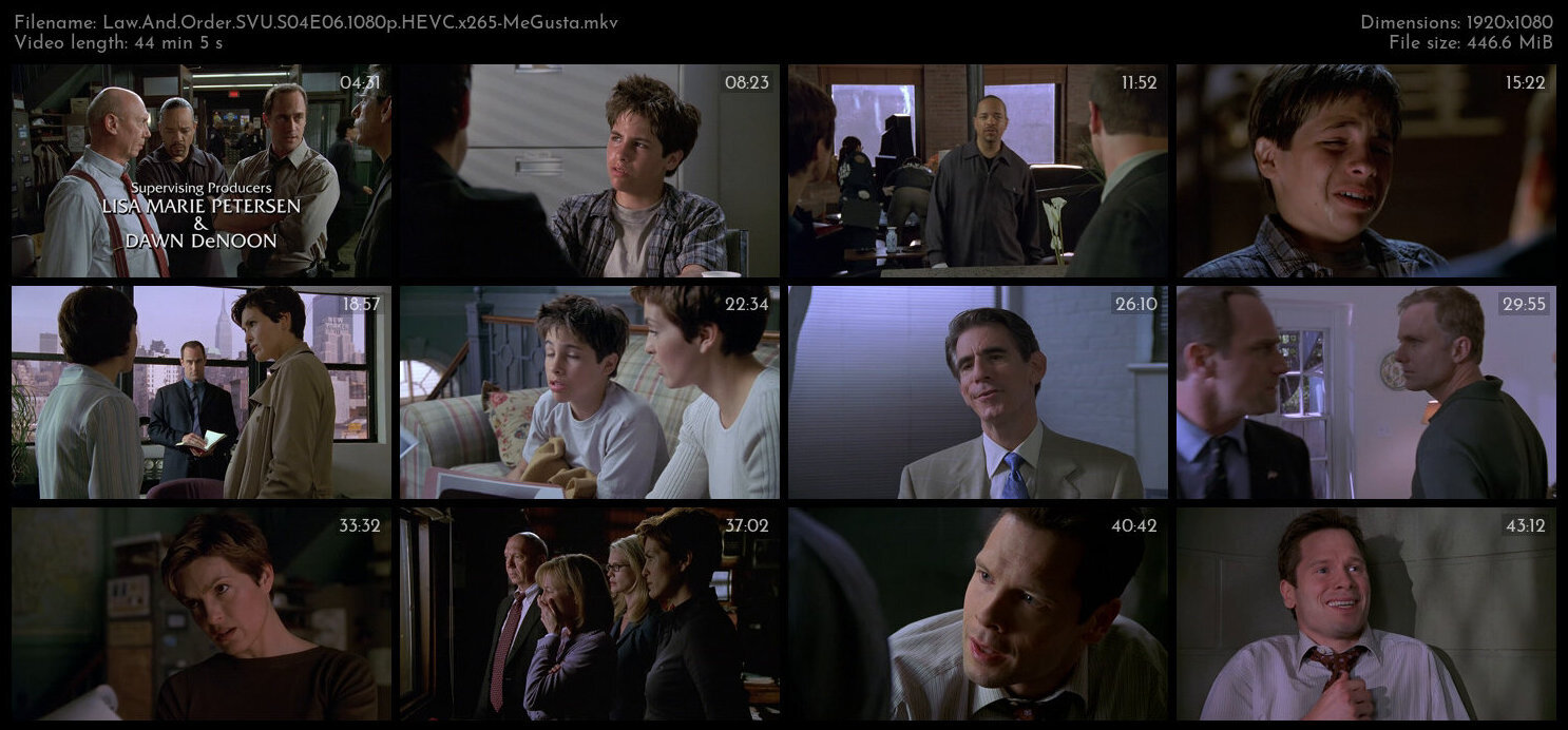 Law And Order SVU S04E06 1080p HEVC x265 MeGusta TGx