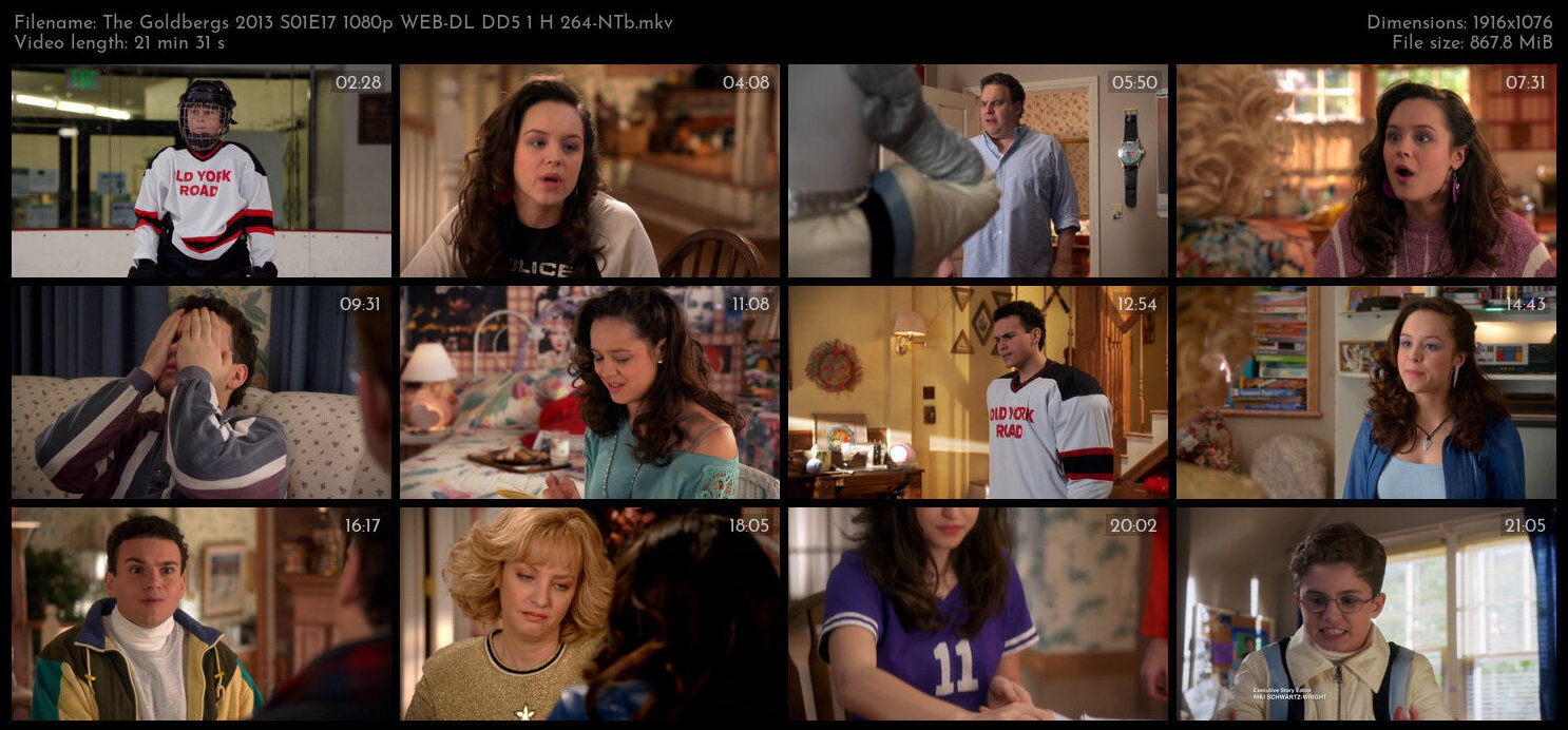 The Goldbergs 2013 S01E17 1080p WEB DL DD5 1 H 264 NTb TGx