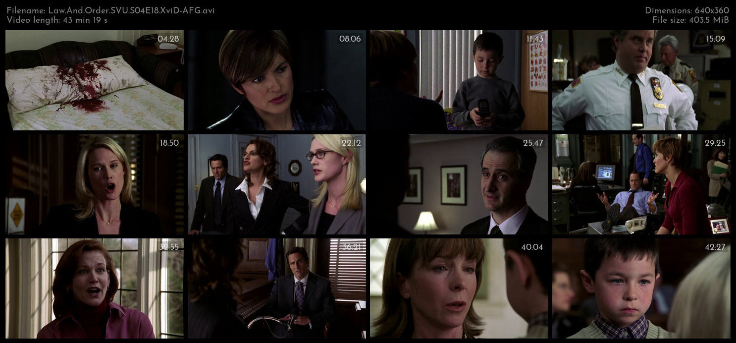 Law And Order SVU S04E18 XviD AFG TGx