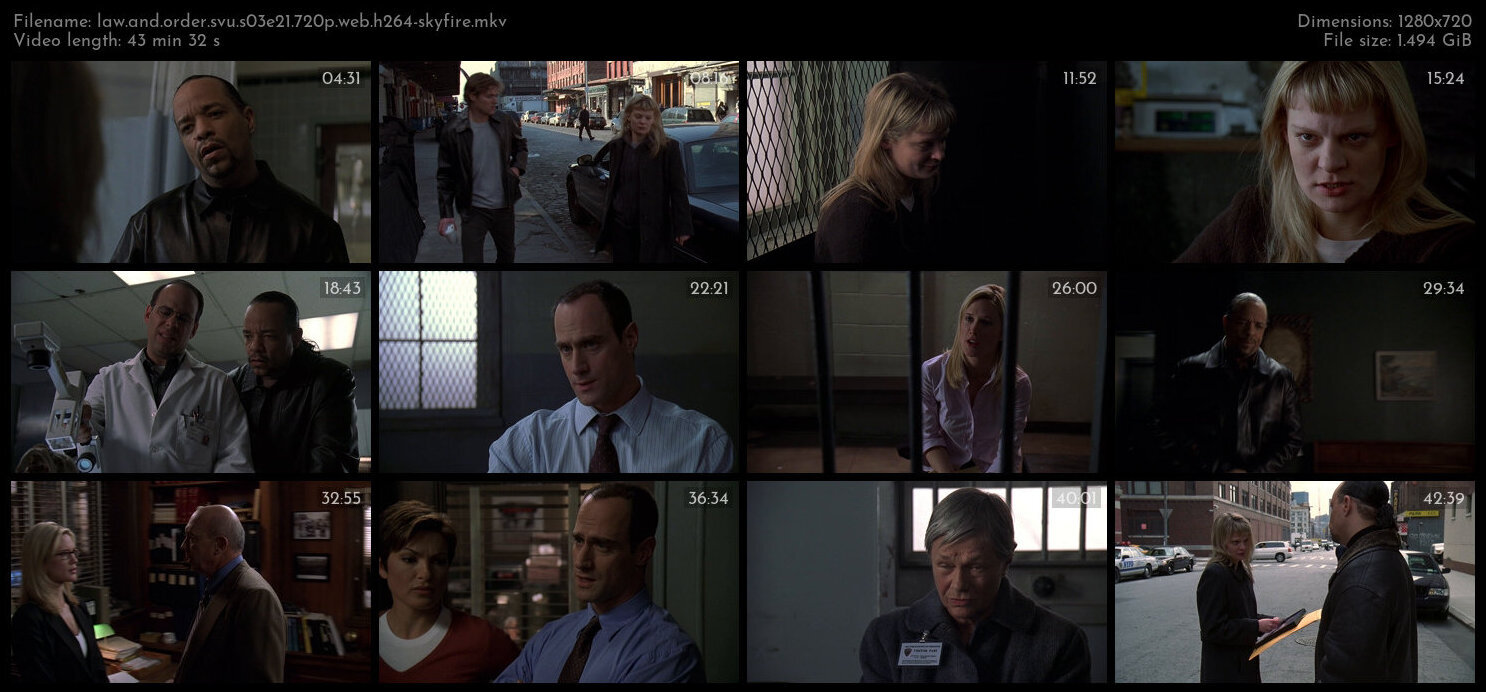 Law And Order SVU S03E21 720p WEB H264 SKYFiRE TGx