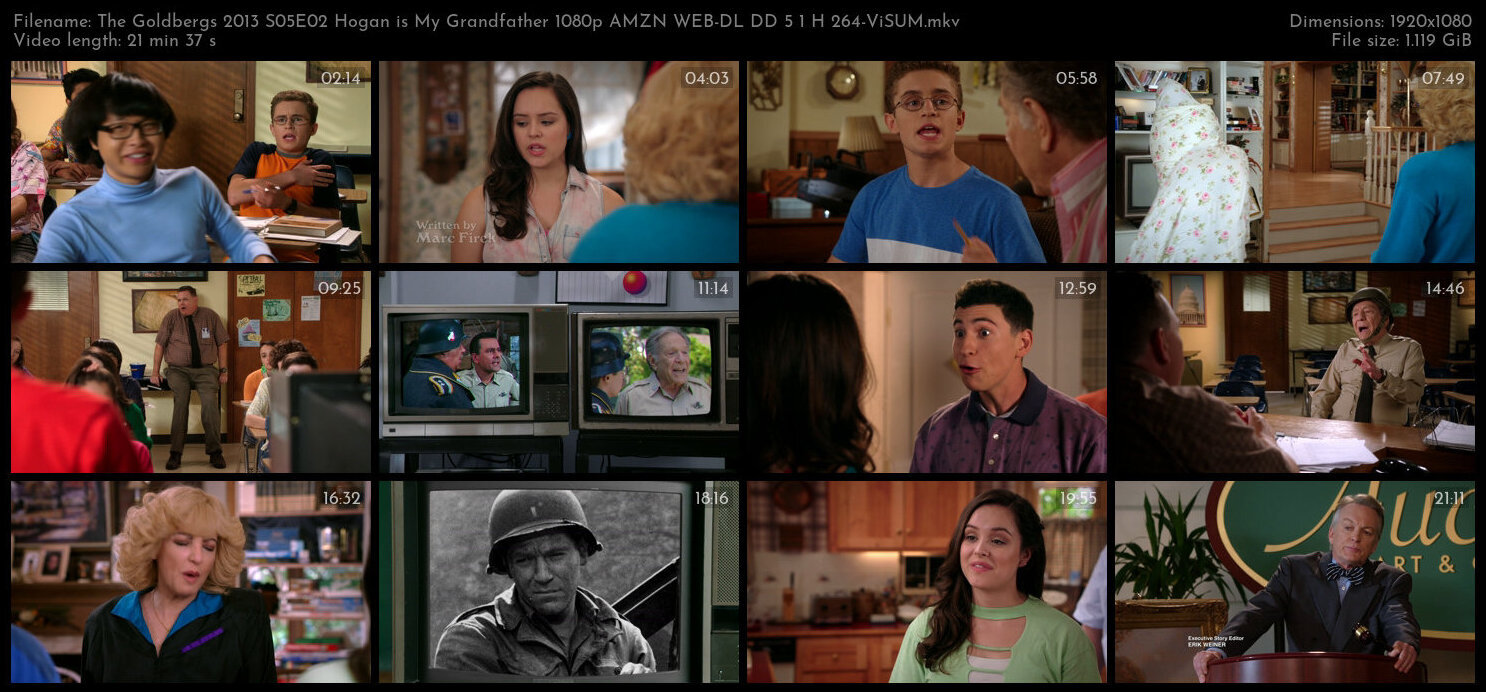 The Goldbergs 2013 S05E02 Hogan is My Grandfather 1080p AMZN WEB DL DD 5 1 H 264 ViSUM TGx