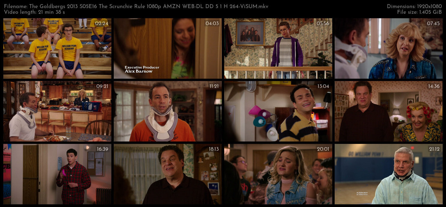 The Goldbergs 2013 S05E16 The Scrunchie Rule 1080p AMZN WEB DL DD 5 1 H 264 ViSUM TGx