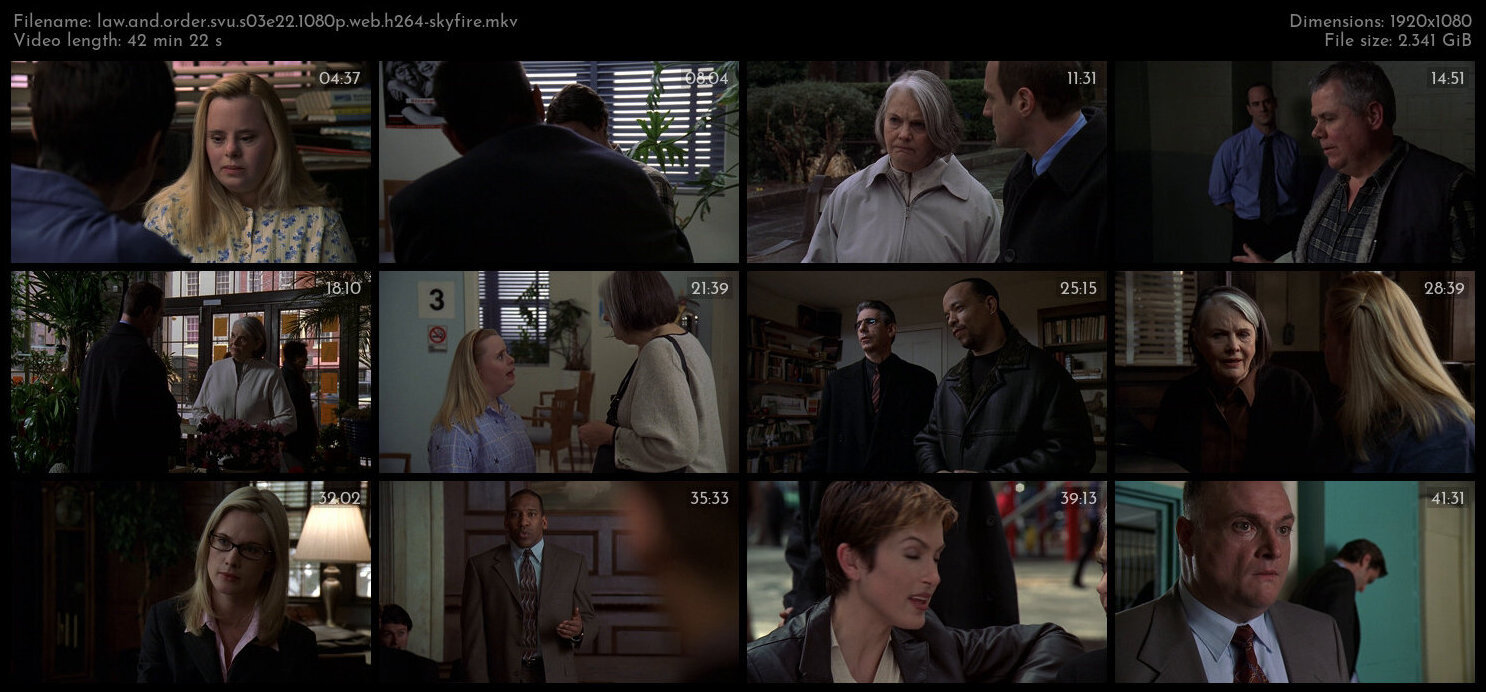 Law And Order SVU S03E22 1080p WEB H264 SKYFiRE TGx