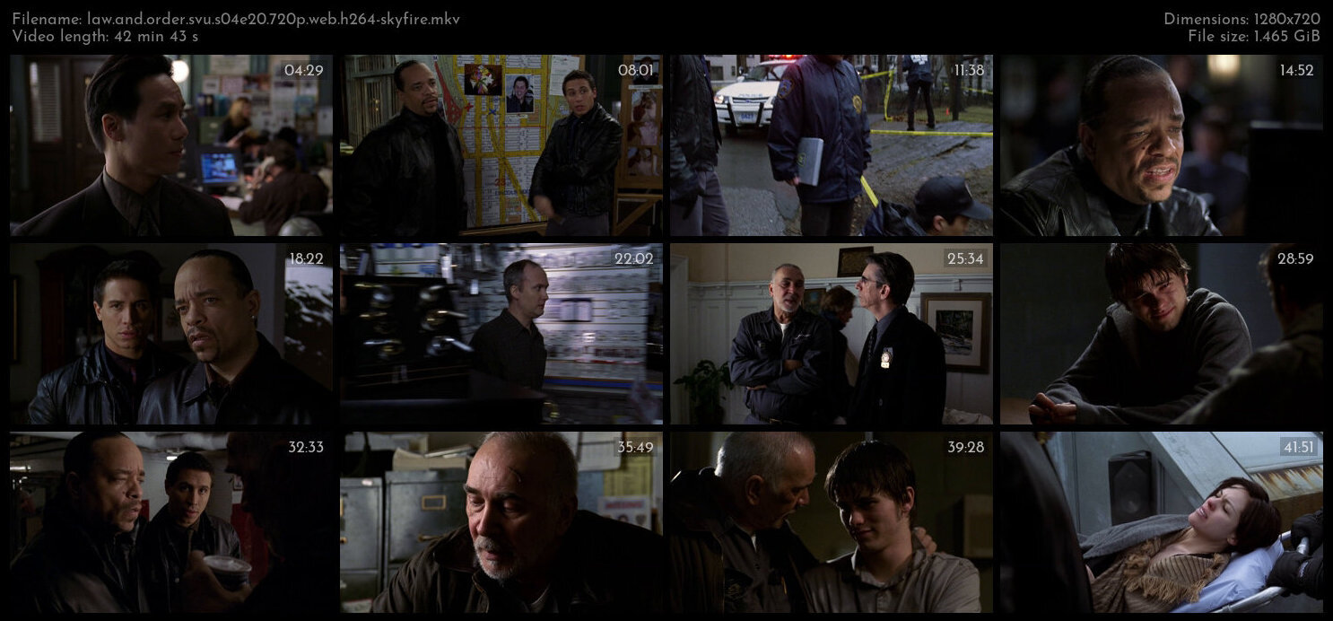 Law And Order SVU S04E20 720p WEB H264 SKYFiRE TGx