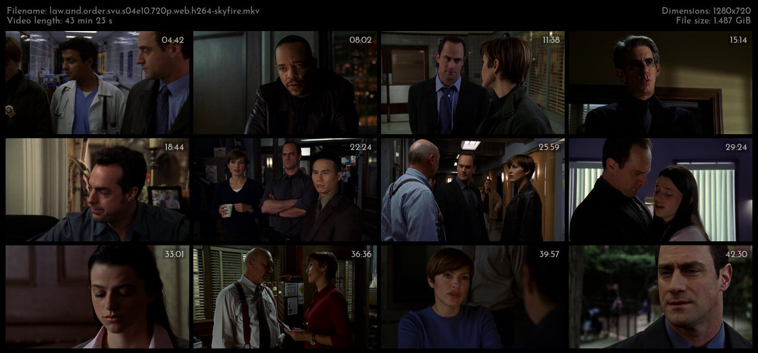 Law And Order SVU S04E10 720p WEB H264 SKYFiRE TGx