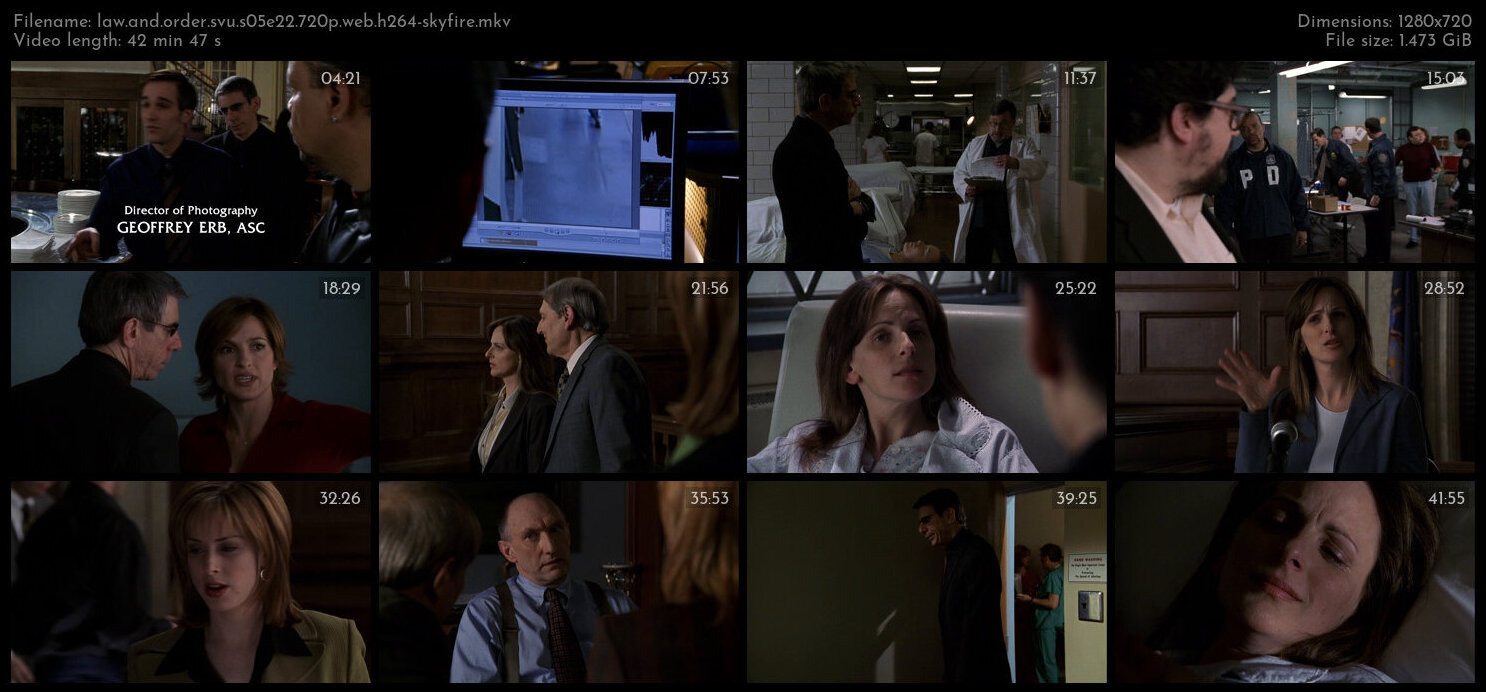 Law And Order SVU S05E22 720p WEB H264 SKYFiRE TGx