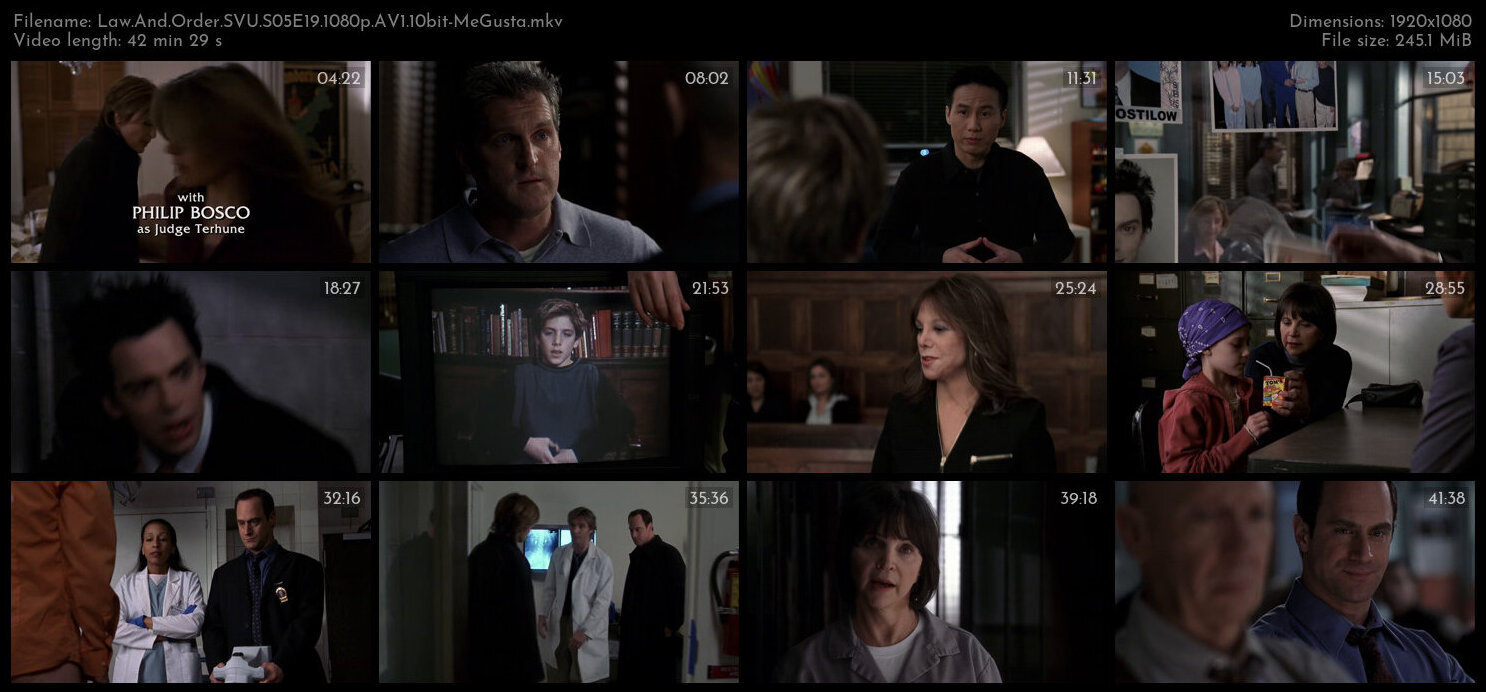 Law And Order SVU S05E19 1080p AV1 10bit MeGusta TGx