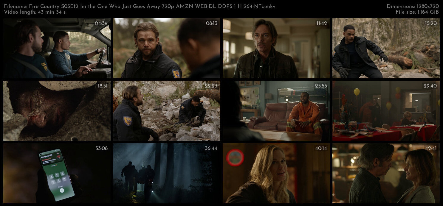 Fire Country S03E12 Im the One Who Just Goes Away 720p AMZN WEB DL DDP5 1 H 264 NTb TGx