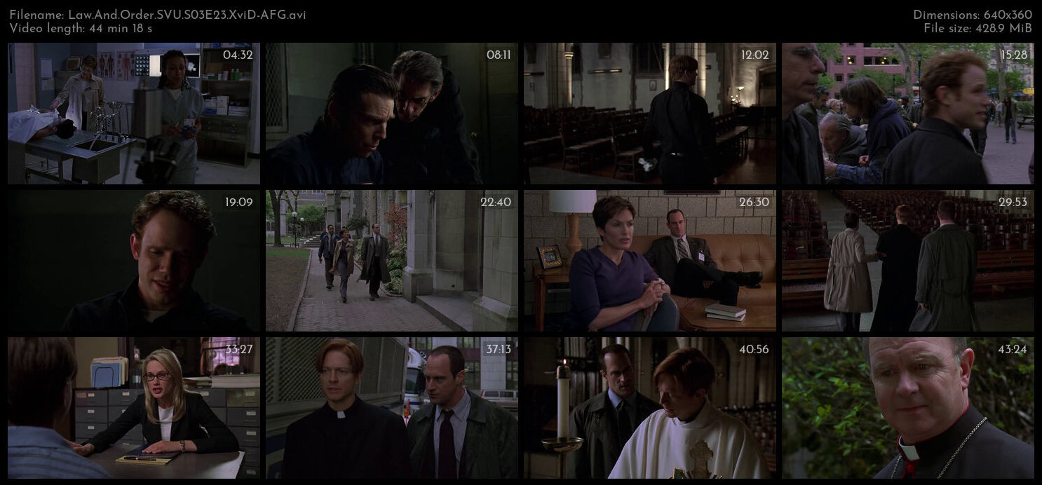 Law And Order SVU S03E23 XviD AFG TGx