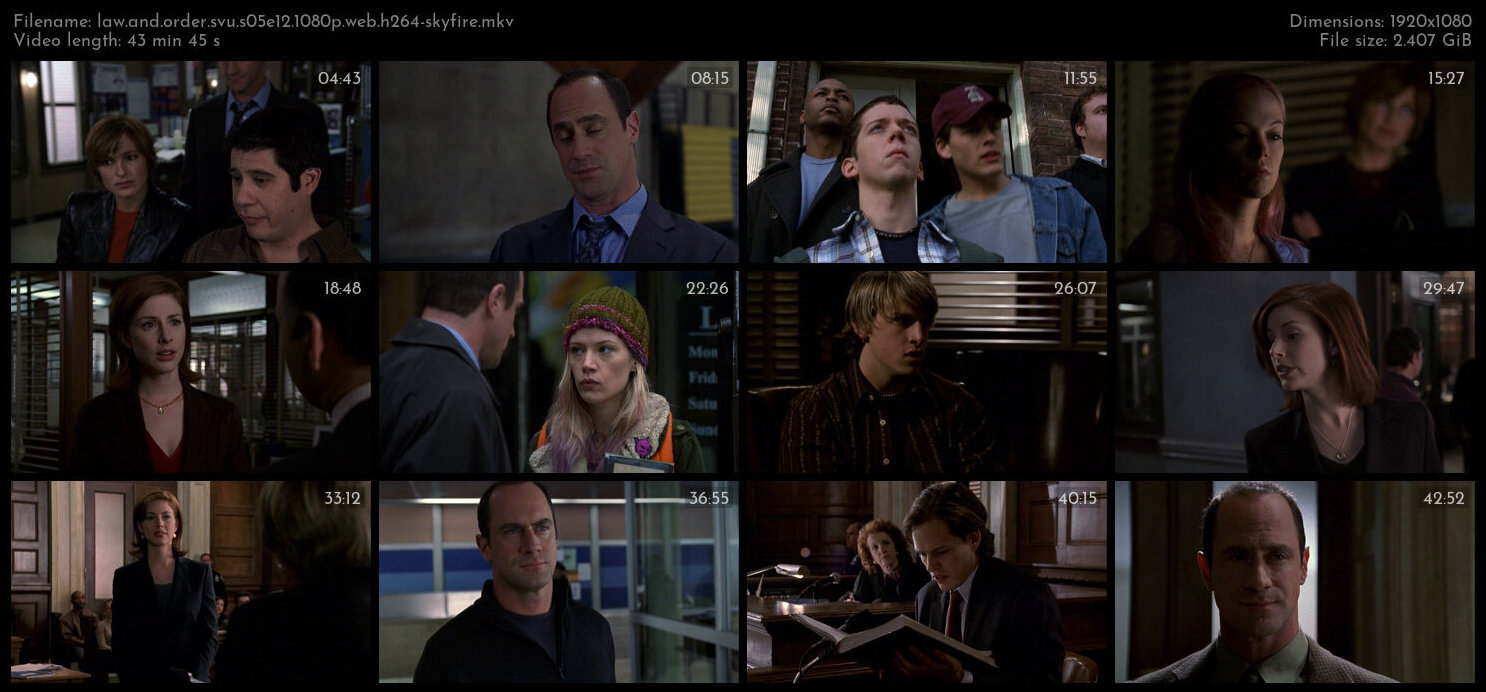 Law And Order SVU S05E12 1080p WEB H264 SKYFiRE TGx