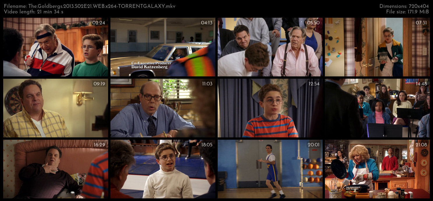 The Goldbergs 2013 S02E21 WEB x264 TORRENTGALAXY